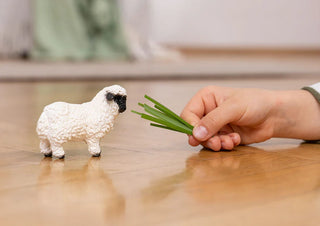 Valais Black-Nosed Sheep - JSQ Mercantile