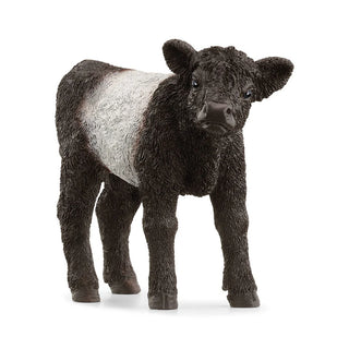 Galloway Calf - New Schleich Design for 2024 - JSQ Mercantile