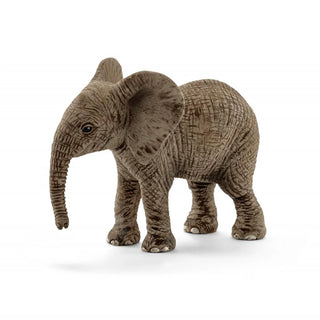 African elephant calf - JSQ Mercantile