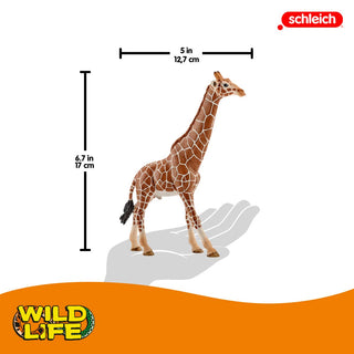 Male Giraffe Figurine, Safari Animal Toy | Schleich®
