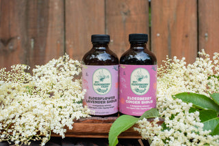 Elderflower Lavender Shrub – Botanical Vinegar Elixir (8 oz)