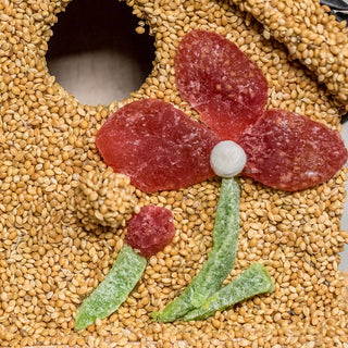 Spring Fruit Cottages – Decorative Bird Seed Houses (Assorted Styles)