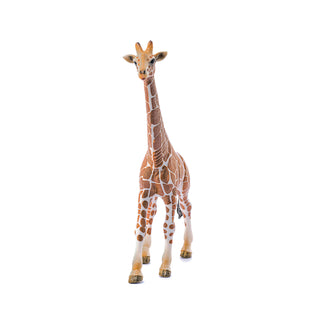 Male Giraffe Figurine, Safari Animal Toy | Schleich®