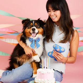 Happy Birthday Squeaky Dog Toy - Made in USA - JSQ Mercantile