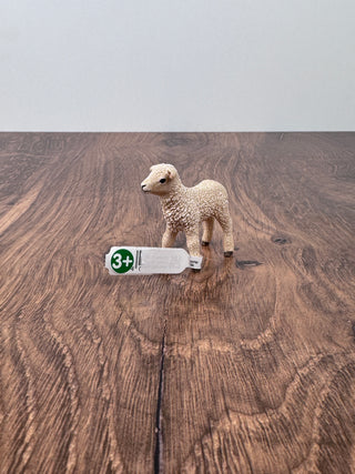 Lamb