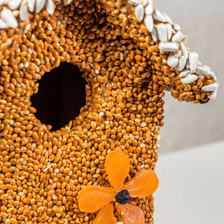 Spring Fruit Cottages – Decorative Bird Seed Houses (Assorted Styles)
