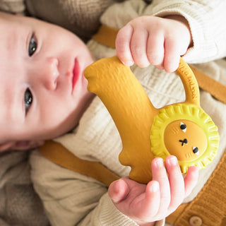 Richie Lion Baby Teether & Bath Toy - JSQ Mercantile