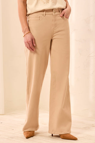 Away We Go Pants - Shimmer